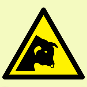 WV11942: W034 Warning: Bull