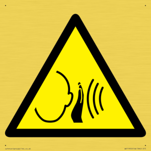 WV11950: W038 Warning: Sudden loud noise
