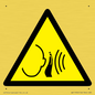 WV11950: W038 Warning: Sudden loud noise