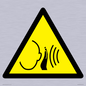 WV11950: W038 Warning: Sudden loud noise