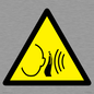 WV11950: W038 Warning: Sudden loud noise