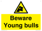 WV12047: Beware Young bulls