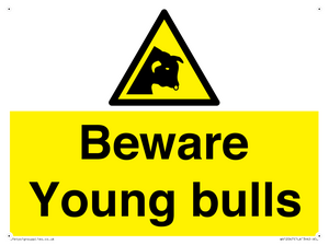 WV12047: Beware Young bulls