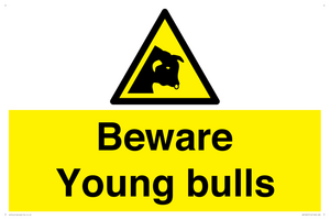 WV12047: Beware Young bulls