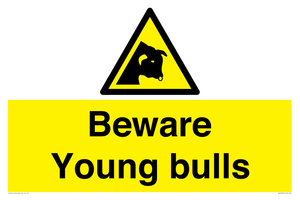 WV12047: Beware Young bulls