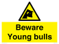 WV12047: Beware Young bulls