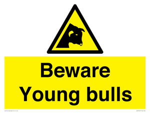WV12047: Beware Young bulls
