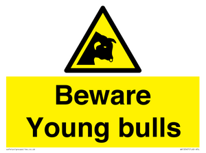 WV12047: Beware Young bulls