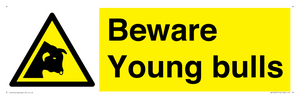 WV12047: Beware Young bulls