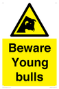 WV12047: Beware Young bulls