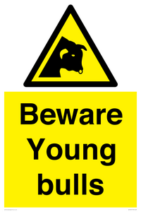 WV12047: Beware Young bulls