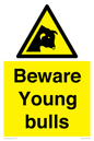 WV12047: Beware Young bulls