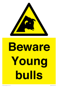 WV12047: Beware Young bulls