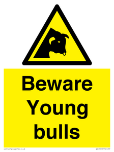 WV12047: Beware Young bulls