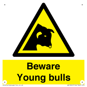 WV12047: Beware Young bulls