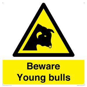 WV12047: Beware Young bulls