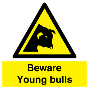 WV12047: Beware Young bulls