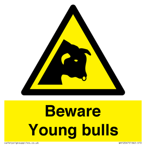 WV12047: Beware Young bulls