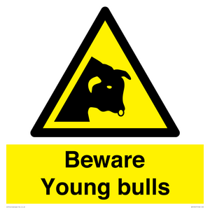WV12047: Beware Young bulls