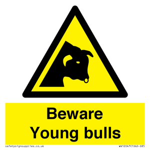 WV12047: Beware Young bulls