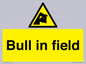 WV12048: Bull in field