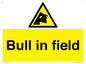 WV12048: Bull in field