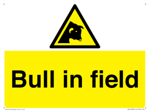 WV12048: Bull in field