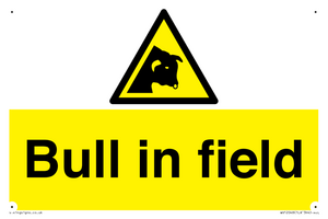 WV12048: Bull in field
