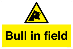 WV12048: Bull in field