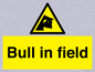 WV12048: Bull in field