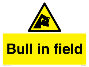 WV12048: Bull in field