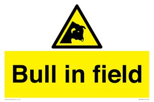 WV12048: Bull in field