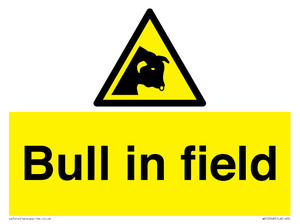 WV12048: Bull in field