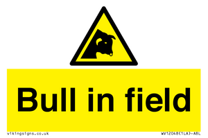 WV12048: Bull in field