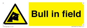 WV12048: Bull in field
