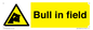WV12048: Bull in field