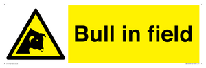 WV12048: Bull in field