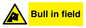 WV12048: Bull in field