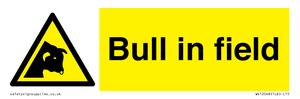 WV12048: Bull in field