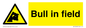 WV12048: Bull in field