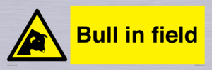 WV12048: Bull in field