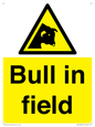 WV12048: Bull in field