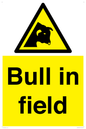 WV12048: Bull in field