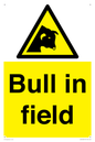 WV12048: Bull in field