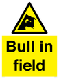 WV12048: Bull in field