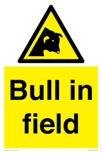 WV12048: Bull in field