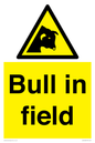 WV12048: Bull in field