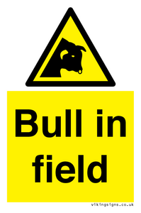 WV12048: Bull in field