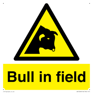 WV12048: Bull in field