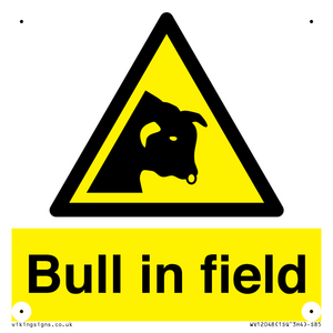 WV12048: Bull in field
